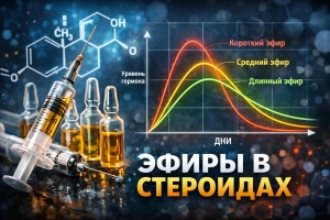 Эфиры в анаболических стероидах: полный разбор