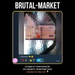 Testosterone Enanthate (MUSC-ON) 10 мл - 250мг/мл