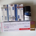 Testosterone Enanthate (ZPHC NEW) 10 мл - 250мг/мл