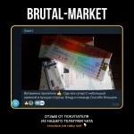 SUSTANON 250 (CanadaBioLabs) 10 ампул - 250мг/мл