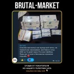 Rapid Mix AQ (ZPHC NEW) 10 мл - 100мг\мл