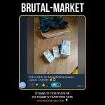 Testosterone Enanthate (MUSC-ON) 10 мл - 250мг/мл