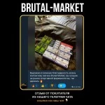 Isotretinoin Soft Gelatin (Swisschem Dermacare, ПРОТИВ АКНЕ) 10 капсул - 30мг/капс