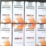 Testosterone Enanthate (MUSC-ON) 10 мл - 250мг/мл