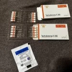 Testosterone E 250 (Olymp Labs, до 08.2025) 10 ампул -  250мг\мл