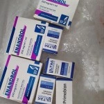 ENANDROL (Balkan, реплика) 10 ампул - 250мг\мл