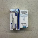 TESTOSTERONE C (ZPHC NEW) 10 мл - 250мг\мл