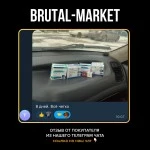 CIPANDROL (Balkan, ОРИГИНАЛ) 10 ампул - 200 мг\мл