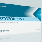 TESTOZON E (Horizon, до 10.2024) 10 ампул - 250мг/мл
