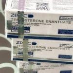 Testosterone Enanthate (ZPHC NEW) 10 мл - 250мг/мл