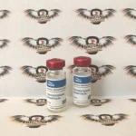 TEST ENANTATE (ERGO, до 08.2025) 10 мл - 300мг/мл