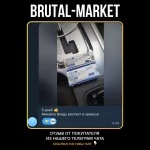 Nandrolone Decnoate (ZPHC NEW, до 08.26) 10 мл - 250мг/мл