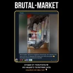 NEBIDO 250 (CanadaBioLabs) 10 ампул - 250мг/мл