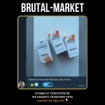 Testosterone Enanthate (MUSC-ON) 10 мл - 250мг/мл