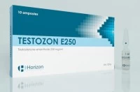 TESTOZON E (Horizon, до 10.2024) 10 ампул - 250мг/мл
