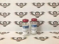 TEST ENANTATE (ERGO, до 08.2025) 10 мл - 300мг/мл